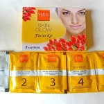 Vlcc Facial Kit